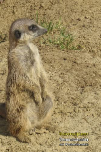Universalplaner Terminkalender mit Wochenübersicht mit Erdmännchen Foto