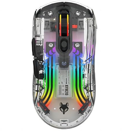 Mengshen Souris sans fil transparente, souris de jeu rechargeable avec rétroéclairage RGB coloré, 5 niveaux de DPI, clic silencieux et confortable pour PC ordinateur portable et jeux d'aventure (noir)