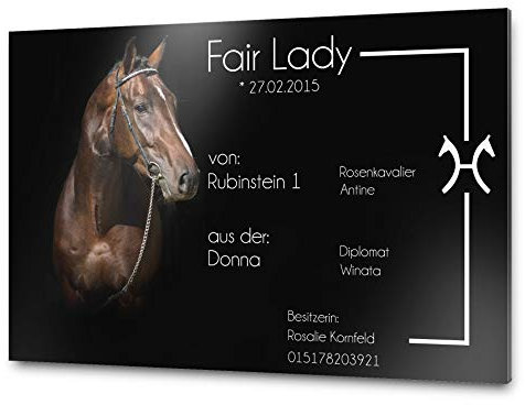 Pferdeschild Boxenschild mit Bild und Wunschtext | Alu Verbundplatte/AluDibond | 30x20 cm | sofort personalisierbar | inkl. Brandzeichen & Motiven