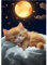 MOGTAA Katze Diamond Painting Erwachsene, 5D Kätzchen Diamant Painting Bilder für Anfänger Erwachsene, DIY Diamond Art Sternenhimmel Diamant Malerei Bilder für Home Dekor 30x40cm