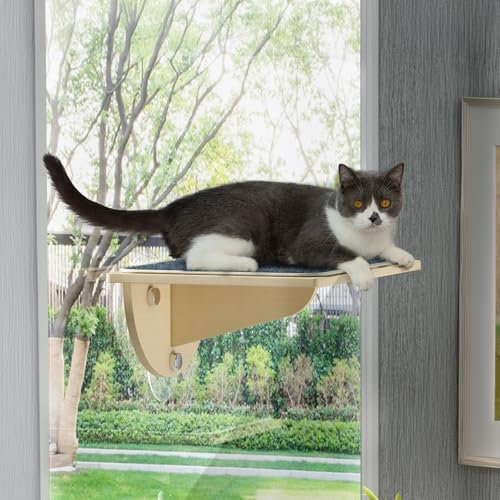 Wooden Cat House Outdoor and Indoor,Large Cat Enclosure Cage with Platforms & Resting Box and Window Hammock, Cage with Reinforcement Wooden Strip,Waterproof Roof (Grey, Small(40L*30W*20H cm))