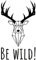 GRAZDesign Wandtattoo Hirsch Wohnzimmer Be Wild, Hirschkopf Wanddeko Schlafzimmer, Wand Deko, Wandaufkleber, Geweih, 52x30cm (HxB), 070 schwarz