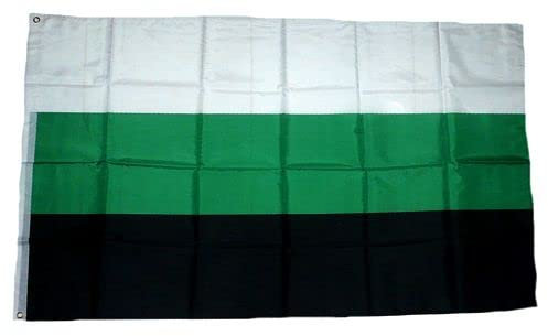 Fahne/Flagge Neutrois Gender 90 x 150 cm