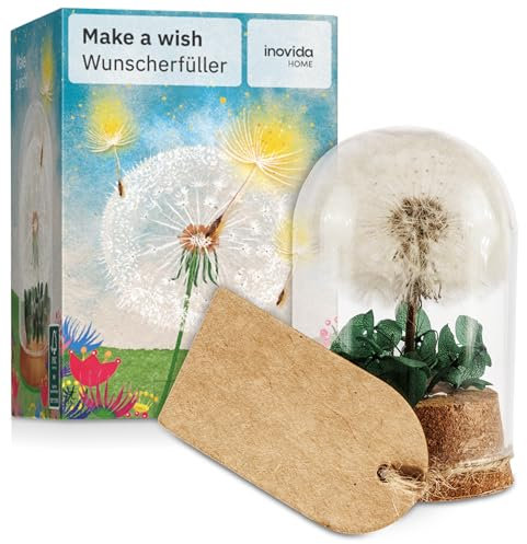 Inovida Pusteblume im Glas : Echte Pusteblume als Glücksbringer – Kleines Geschenk mit Grußkarte – Dankeschön Geschenk – Aufmunterung Geschenke – Dankeschön Geschenke Klein – Glücksbringer Prüfung