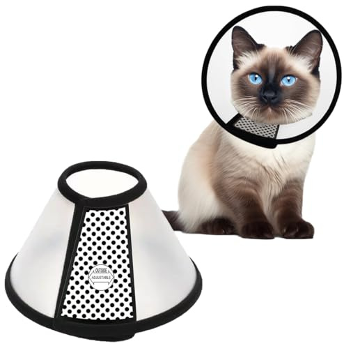 AFCJLTO Pet Cone Recovery,Halskrause Katze, Leichter Kunststoff Elisabethanischer Kragen,Geeignet für kleine bis mittelgroße Katzen mit einem Gewicht von 3 bis 5 kg (Halsumfang 22-26cm,L)