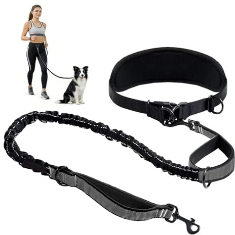Laisse de jogging pour chien - Laisse de course pour chien - Ceinture ventrale pour le jogging, la course, la randonnée - Avec ceinture élargie - Coutures réfléchissantes - Ceinture de course pour