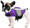 Queenmore Hunde Schwimmweste, Rettungsweste, Schwimmweste Hund kleine große, Rettungsweste für Kajak, Bootfahren, Schwimmweste französische Bulldogge, Dackel (lila, M)