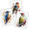 Samunshi® 3x Kunstdruck Vogel Poster Set mit Eisvogel Rotkehlchen Grünspecht Bilder für Jugendzimmer Deko Geschenk DIN A4 21x29,7cm