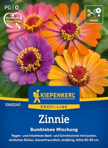 Kiepenkerl Zinniensamen Bumblebee Mischung 1069240, Blumensaat | Regen- und hitzefeste Beet- und Schnittzinnie mit bunten Blüten