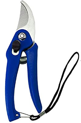 CCKUHN Gartenschere, Gartenschere, Edelstahl, verstärkte Astschere für den Außenbereich, Gartengeräte (blau) (blau) (blau)