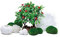 biOrb 55025 Decor Set 15L Winter - Aquariendekoration mit realistischen künstlichen Wasserpflanzen, Wurzeln und Steinen für schönes Aquariendesign - für Süßwasser und Meerwasser
