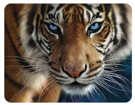 3D LiveLife Magnet - Blaue Augen von Deluxebase. Linsenförmige 3D Tiger Kühlschrankmagnet. Dekoration für Kinder und Erwachsene mit Kunstwerk lizenziert von bekannt Künstler, Collin Bogle