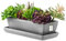 botle Keramik Blumentopf Blumenschale Kakteenschale Untersetzer Wasserloch Kakteen Bonsai Sukkulenten (rechteckig, dunkler Beton)