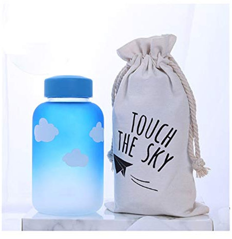 Silcryal Bottiglia di Vetro per Sport all'Aria Aperta Breve Portatile Rotondo a Prova di perdite Trasporto di Viaggio Scrub Bottiglie d'Acqua Tazza di Vetro Studen Drinkware 600ml (Colore : D) Vision