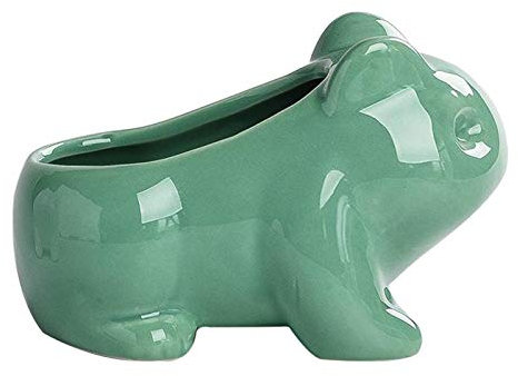 Duiaynke Keramik-Sukkulenten-Übertopf für Sukkulenten, Frosch, Blumentopf für drinnen und draußen, Kaktus