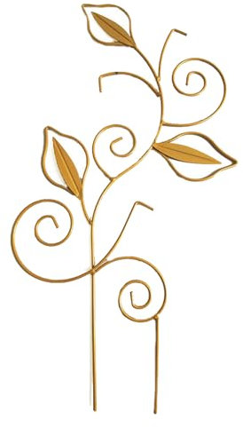 Csnbfiop Plante grimpante en pot - Pour l'intérieur et l'extérieur - Légumes floraux - Plante grimpante