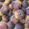 semi di fico balcone di piante alberi da frutto nani succulente resistenti piante da giardino resistenti perenni giardino rare albero frutto frutti esotici piantare frutti colonnare 400pcs