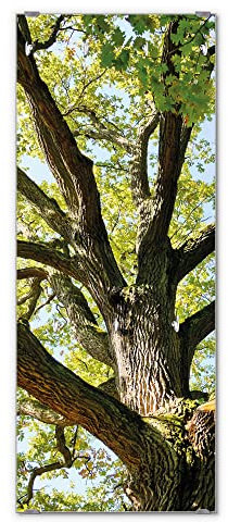 banjado® Wandgarderobe aus Echtglas/Design Garderobe 50 x 125 cm groß/Flurgarderobe mit 7 Haken/Beschreibbares Garderobenpaneel Motiv Eiche