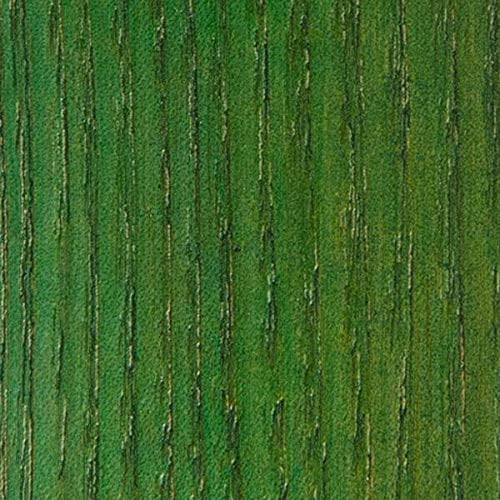 WooDeeDoo Water Based Wood Stain | Wood Dye | Ready to Use | Environmentally Friendly | Solvent Free | Odour Free | Tester Pot 10 ml | Green