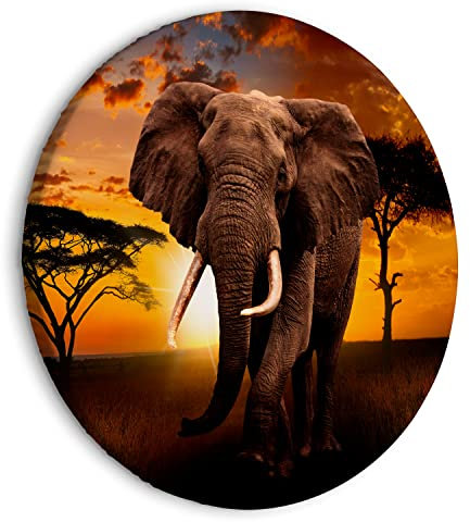 murando - runde Bilder Afrika 80x80 cm Leinwandbild 1 tlg Kunstdruck modern Wandbilder XXL Wanddekoration Design Wand Bild Landschaft Tier Elefant Savanne g-C-10088-bc-a