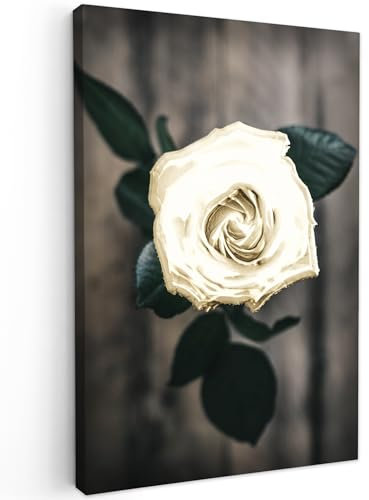 MuchoWow Leinwand Bilder Leinwandbilder Gold Vlies Wandbild Abstrakt Kunst Wohnzimmer Bild Wanddeko Blumen Rose Deko Wanddekoration 80x120