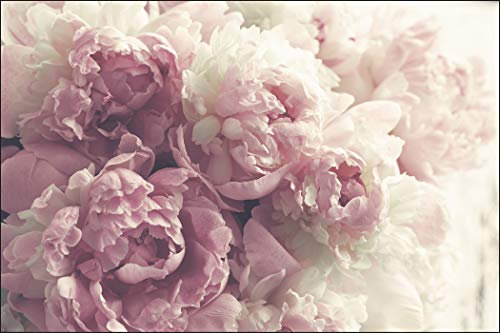 Muralo Fototapete Blumen 300 x 450 cm Vlies Tapete Wandtapeten Pfingstrosen Wohnzimmer Schlafzimmer Moderne Wandbilder XXL Pflanzen Natur Wand Dekoration