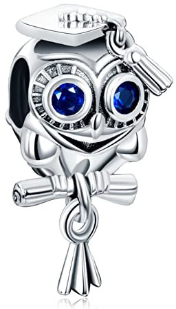 Annmors Animals Charms Weise Eule Schulabschluss 925 Sterling Silver Animal Bead Pendant for Bracelet&Necklace,Birthday Mother's day Jewelry Gifts for Women Girls