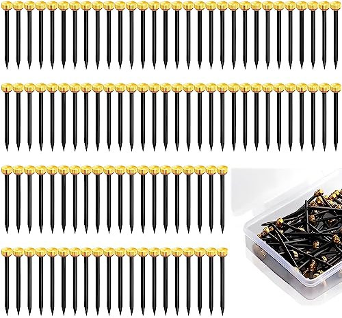 100 Pcs Picture Hanging Nails Picture Hooks for Hard Wall Picture Hanging Tool for Pictures Wall Art Canvas Frames Mirror Brass Head Hanging Nails Brass Hooks with Plastic Storage Box