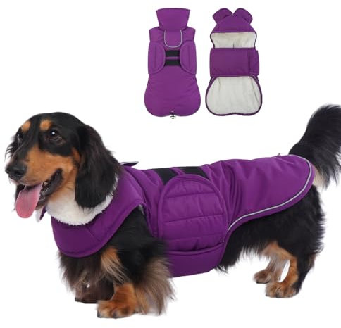 Lelepet Dackelmantel, warmer Hunde-Wintermantel, kleine Hundejacke für Dackel, wasserdichte Hundejacke für Dackel, reflektierende Dackel-Jacke mit Fleecefutter, verstellbarem Riemen, Dackelkleidung,