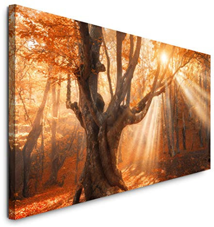 Paul Sinus Art GmbH Magischer Alter Baum 120x 50cm Panorama Leinwand Bild XXL Format Wandbilder Wohnzimmer Wohnung Deko Kunstdrucke