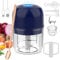 BlumWay Mini hachoir électrique 2 en 1 pour ail, batteur à œufs, hachoir à nourriture, hachoir sans fil plus puissant, mélangeur portable pour légumes, fruits, 250 + 250 ml (bleu)