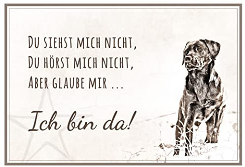 ZAUBERBILD Hundeschild Warnung | Labrador 'Ich bin da!' | Warnschild Vorsicht Hund | 25x17cm Alu