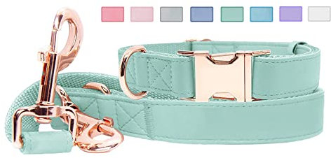 Ensemble Collier et Laisse pour Chien en Cuir Souple (17,9 cm) – Boucle élégante en métal Robuste Or Rose, 4 Longueurs réglables pour Chiens de Petite, Moyenne et Grande Taille, Confortable et Facile