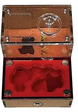 PengGengA Ameisenfarm Acryl Transparente Ameisen-Terrarium Antquarium Insekten Züchten Kasten Ameisenhaus (Nest, 1 Stück)