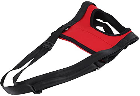 Hunde-Stützgeschirr, Gehhilfe für Haustiere, Heben, Ziehen, Weste, Unterstützung, Rehabilitation für alte und verletzte Hunde (rote Pfote L)