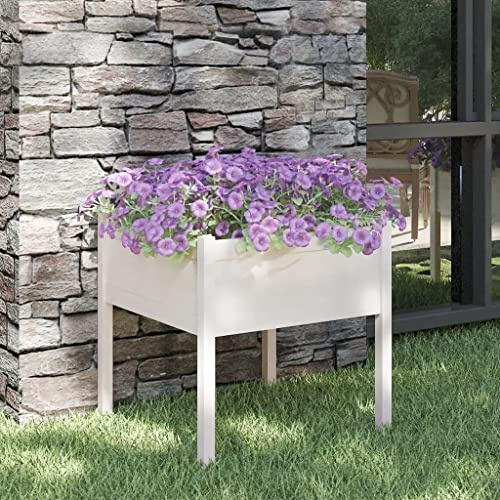 Pflanzkübel Weiß 70x70x70 cm, Massivholz Kiefer, Großes Pflanzgefäß für Garten, Outdoor-Pflanzen, Hochbeet, Langlebig & Witterungsbeständig