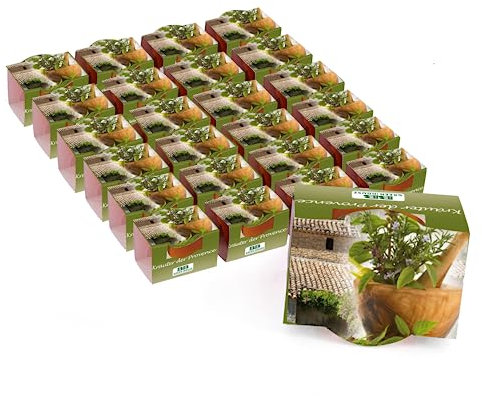 Bull & Bear 25er Set Mini Pflanzset Kräuter der Provence im Topf 4,5cm, Provence Kräutersamen als Anzuchtset mit Pflegeanleitung