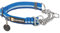 RUFFWEAR Chain Reaction Collier pour Chien, Collier de Dressage réglable Anti-Traction, Anneau en D en Aluminium et Cordon de Serrage limité, Collier réfléchissant avec Blue Pool 20-26