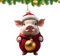 Schwein-Weihnachtsschmuck – Weihnachtsschwein Mit Ball, Christbaumschmuck | Lustiger 2D-Acryl-Cartoon-Schwein-Baumschmuck | Cartoon Schwein Weihnachtsschmuck | Bauernhaus-Weihnachtsdekoration