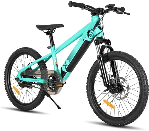 JOYSTAR 20/24 Zoll Elektrofahrrad für Kinder und Jugendliche ab 7+ Jahren mit 250W bürstenlosem Motor, 15 Meilen 15MPH Elektro-Mountainbike mit abnehmbarem Akku