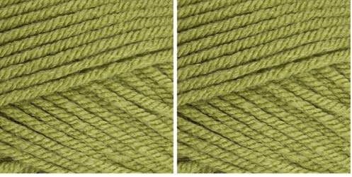 Stylecraft 9061065 Special Chunky Meadow (1065) Yarn - 100g (Pack of 2)
