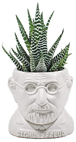 Sigmund Freud Pot de fleurs pour plantes grasses Petit cactus Fleurs Herbes et plus