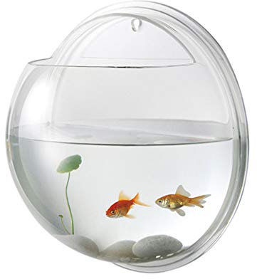 Balacoo Acrylic Wall Fish Tank Wall Mounted Tank Aquariums Wall Glass Plants Holders for Succulents Air Plants Wall Decoration (23cm Diameter)