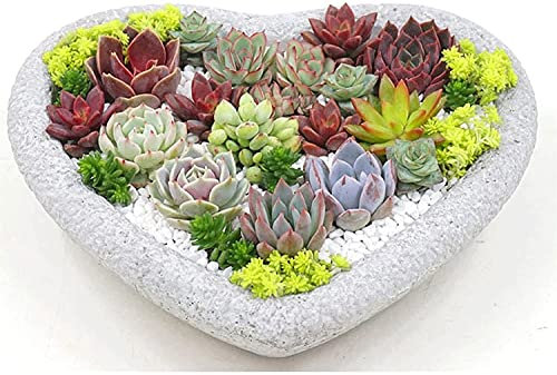 GXBCS Pflanzkübel Blumentöpfe Übertopf Herzförmiger Blumentopf Naturstein Übertöpfe Garten Kreativ Desktop Kleiner Blumentopf Geeignet 925(Color:B)