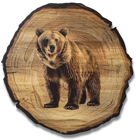 DARO Design - Wandbild Bär Größe 20cm - Kunstdruck aufhängefertig - Wanddekoration Thema Jagd, Natur, Tiere