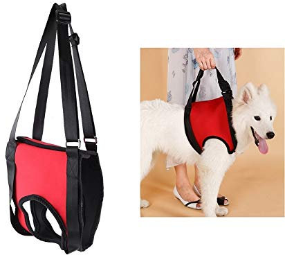 Hundegeschirr, Hunde Tragehilfe Unterstützung für vorne, Stützgeschirr, Gehhilfe, Zugweste für alte verletzte Hunde (Vorderbein-M)