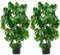 Oairse 2PCS 76cm Kunstpflanze Monstera Groß, Kunstpflanze Groß im Topf, Deko kunstpflanze für Wohnzimmer Schlafzimmer Büro Deco, Indoor Outdoor Garten Moderne Dekoration