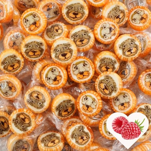 EinsSein Löwen Bonbons orange-braun Kindergeburtstag | 1kg handgemachte Rocks Bonbons | Gastgeschenke Geburtstag Taufe Party Kinder Kommunion auch als essbare Tischdeko | Pinata Füllung