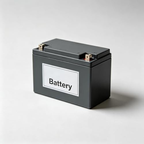 Leisure Batteria, Batteria Lifepo4, batteria al litio ferro fosfato, S1