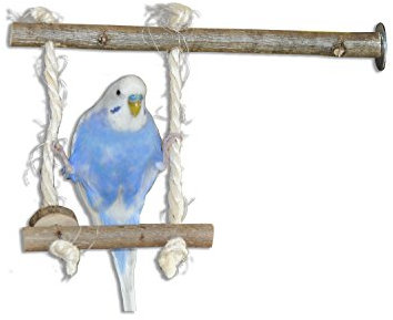Vogelgaleria Vogelschaukel aus Naturholz | Schaukel als Wellensittich Spielzeug | Swing Spaß für Nymphensittich